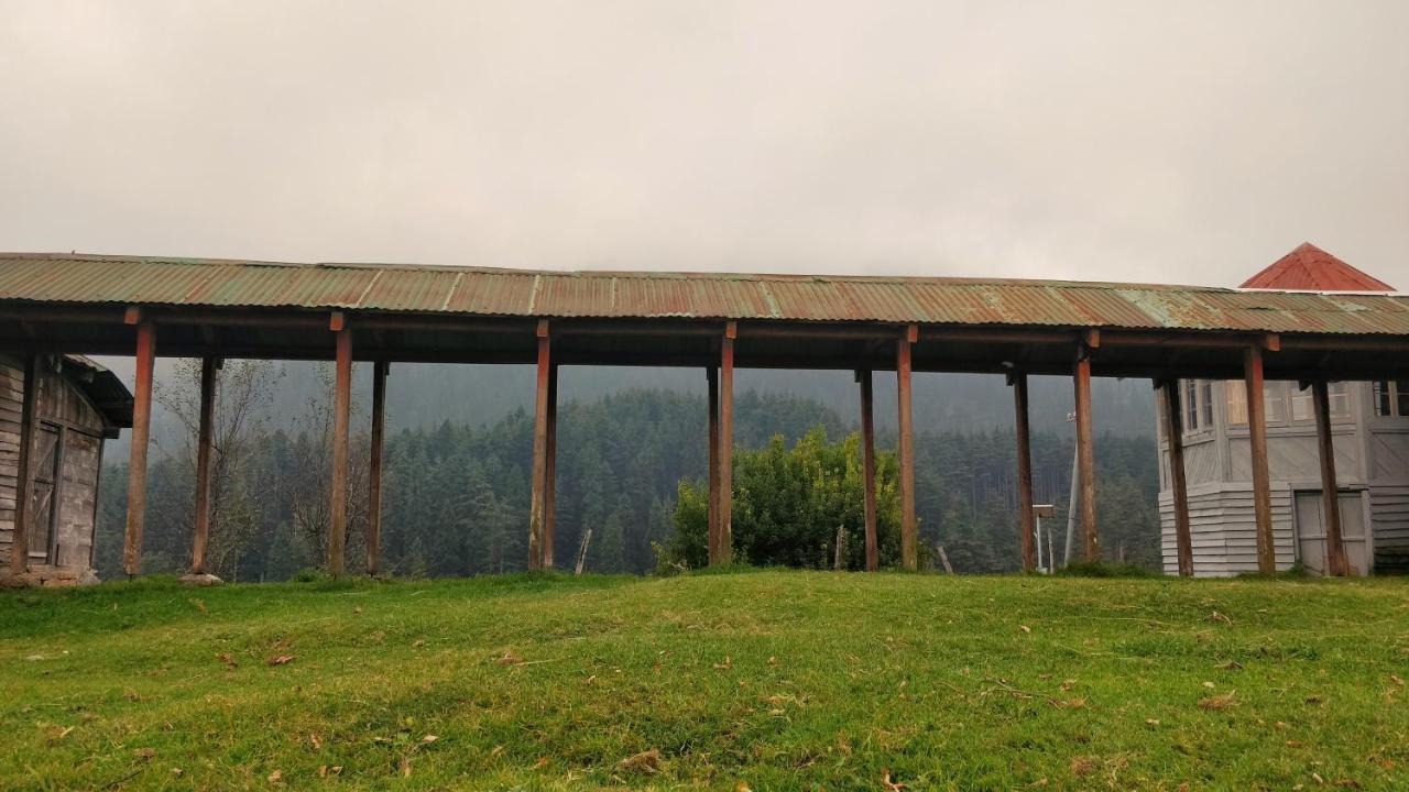 Black Bear Cottage Khajjiar Экстерьер фото