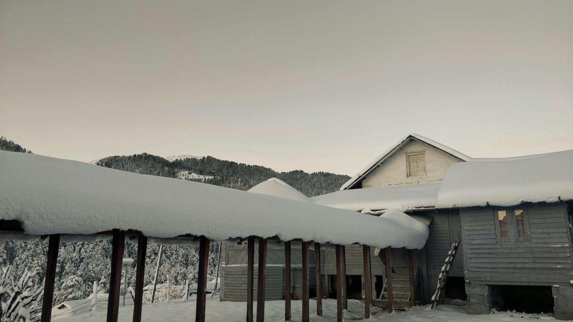 Black Bear Cottage Khajjiar Экстерьер фото