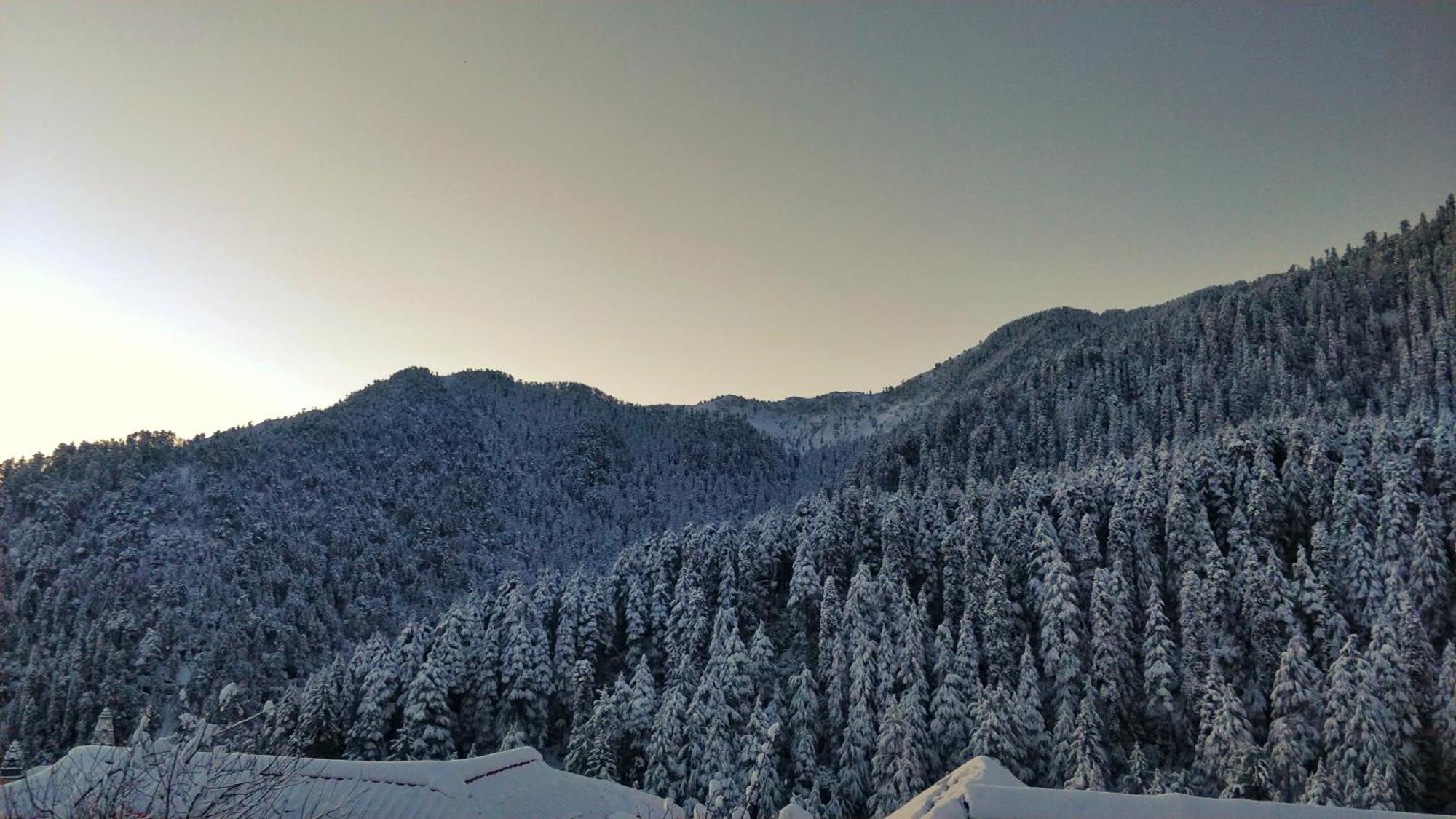 Black Bear Cottage Khajjiar Экстерьер фото