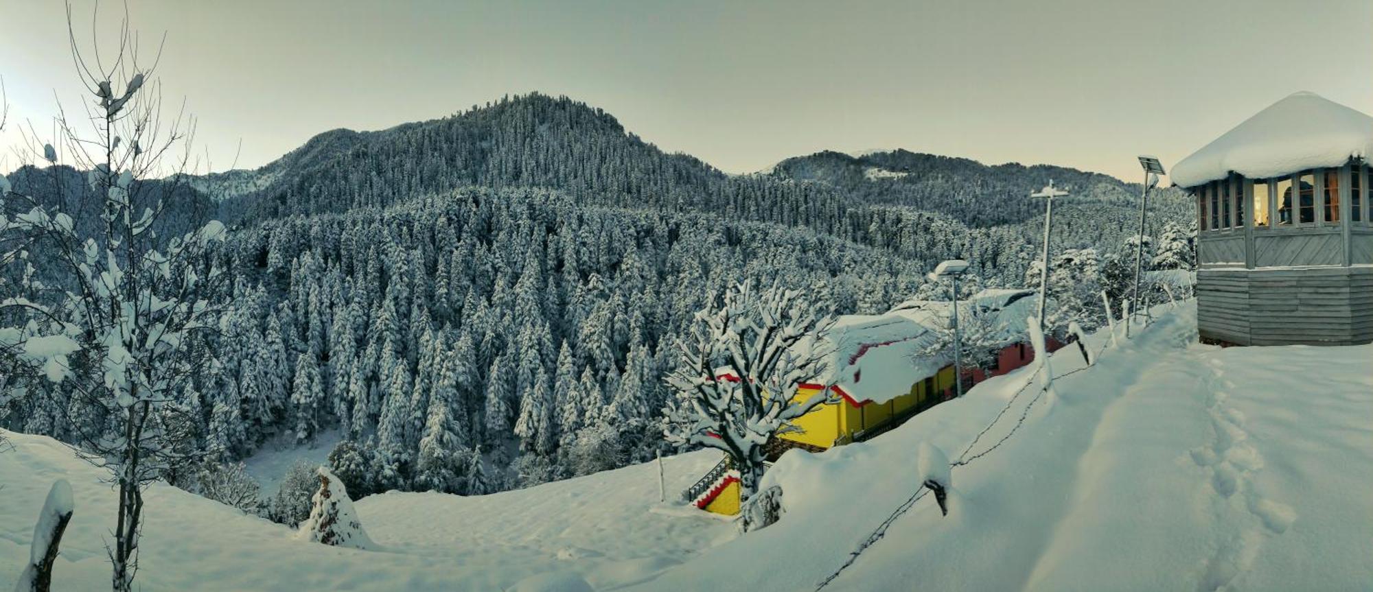 Black Bear Cottage Khajjiar Экстерьер фото