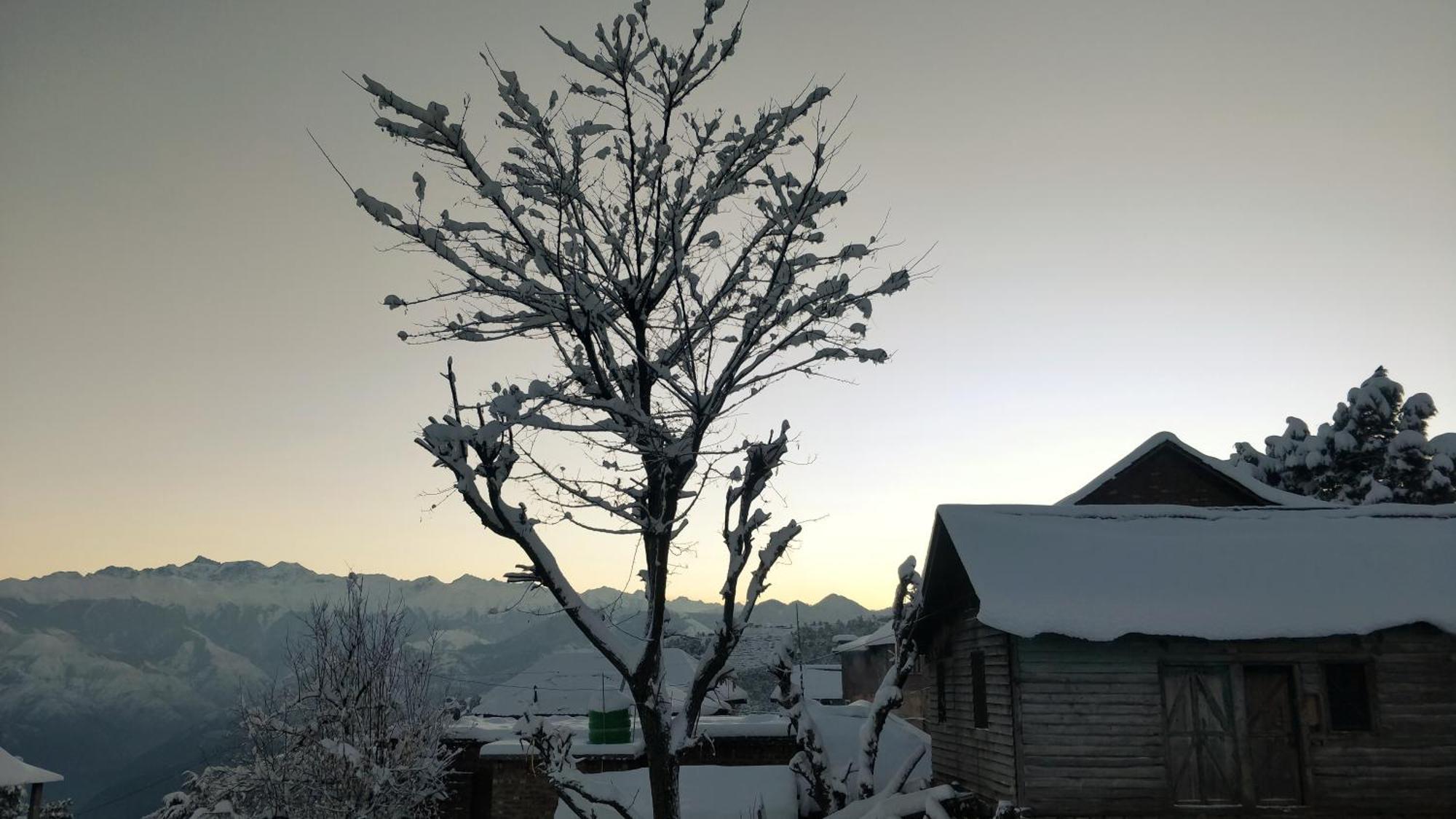 Black Bear Cottage Khajjiar Экстерьер фото