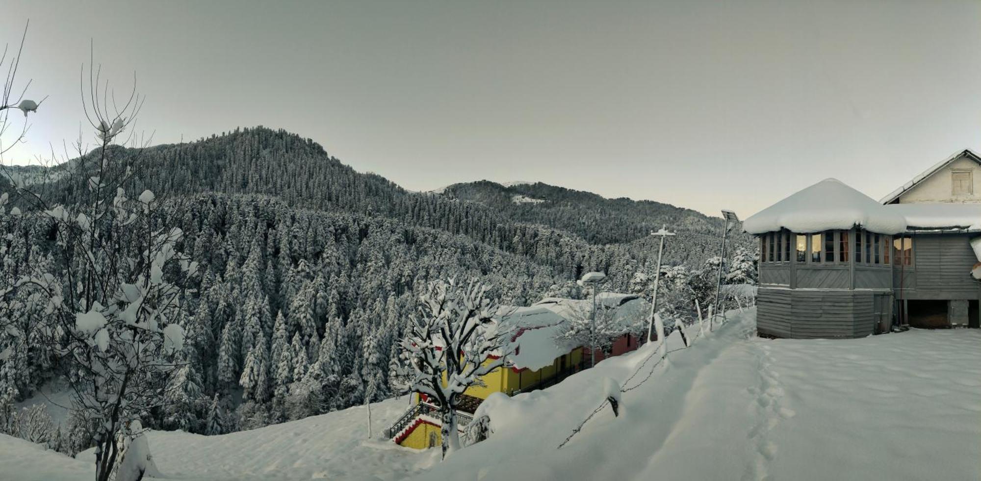 Black Bear Cottage Khajjiar Экстерьер фото