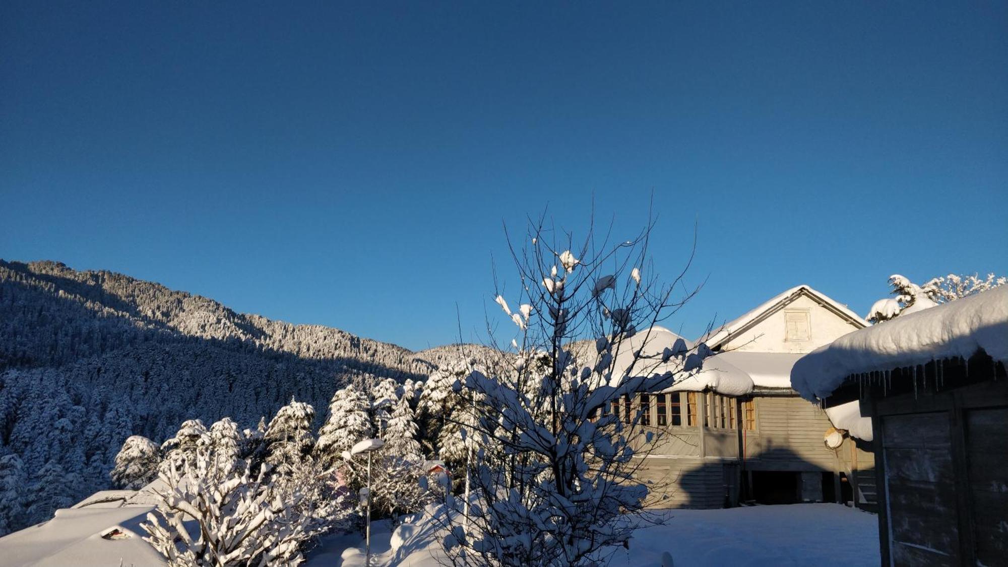 Black Bear Cottage Khajjiar Экстерьер фото